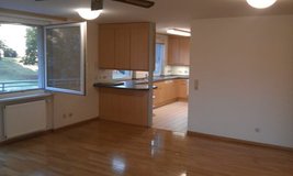 PCScleaning, Junk/Trash Hauling, Yard work, Tranporting/Moving Painting Etc. in Ramstein, Germany