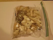 Bag Of Shell Pieces - Craft Projects? in Kingwood, Texas